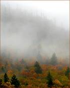Morning_fog