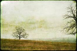 Hesitation