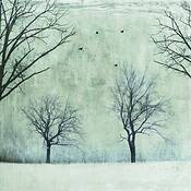 In_my_forest_of_four