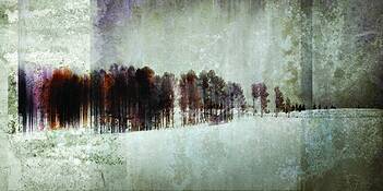 Trees_in_snow