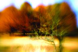 Autumn_dawn