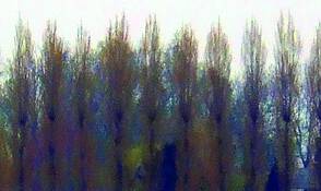 Colorful_tree_line