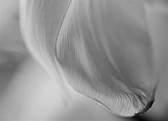 Untitled_04