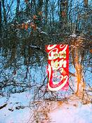 Coke_in_the_woods__29