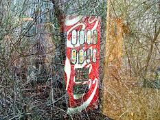 Coke_in_the_woods__8