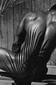 Palm_leaf