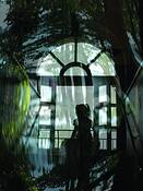 Searching_for_alice