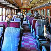 Farsafari_series__-_rail_riders