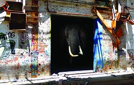 Farsafari_series_-_elephant_house