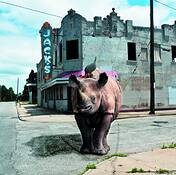 Farsafari_series_-_going_home_from_jack_s