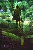 Walking_in_the_forest