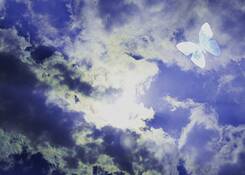 Fly_high