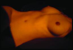 Torso