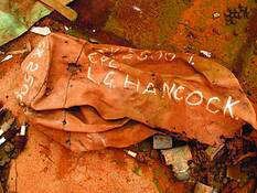 Flinders_ranges_4