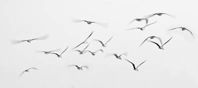 In_flight