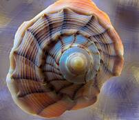 Blue_swirl