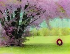Donna_s_tree