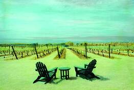 Vineyard_in_summer