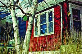 Green_birdhouse