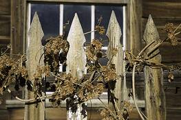 06_flowered_fence
