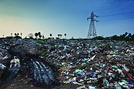 The_wasteland