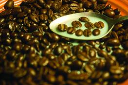 Breakfast_coffee_for_champs