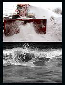 Antith_se_hivernale_3