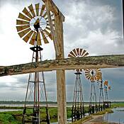 Morte_de_uma_salina