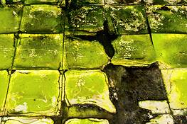 New_orleans_2