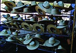 Hats