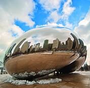 The_bean_7