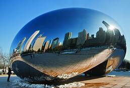 The_bean_8