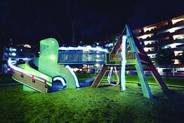 Dove_playground