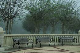 Benches