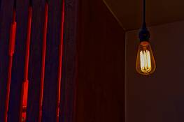 Bulb_light