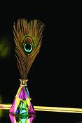 Feathers