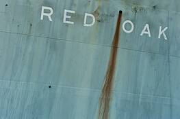 Red_oak