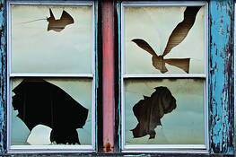 Windows