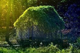 Glass_house_ghost_house_c2