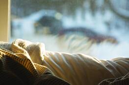 Morning_vision