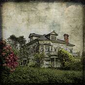 Untitled_6