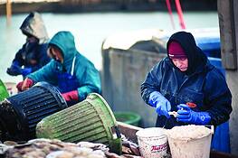 The_rising_tide_1
