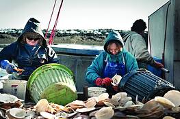 The_rising_tide_6