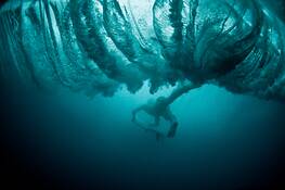 Duckdive