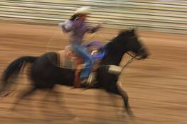 Rodeo_1