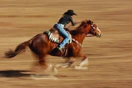 Rodeo_2