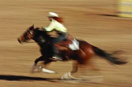 Rodeo_5