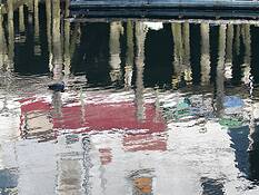 Untitled_10