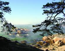 Sand_beach_winter
