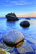 Bonsai_rock
